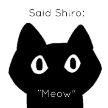 Said Shiro: book cover