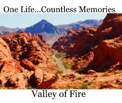 Valley of Fire book cover