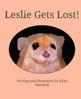 Leslie Gets Lost! book cover