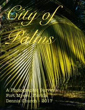 City of Palms book cover