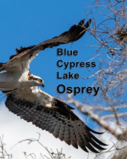 Blue Cypress Lake Osprey book cover