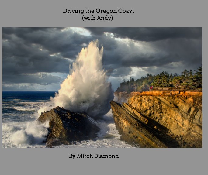 View Driving the Oregon Coast (with Andy) by Mitch Diamond