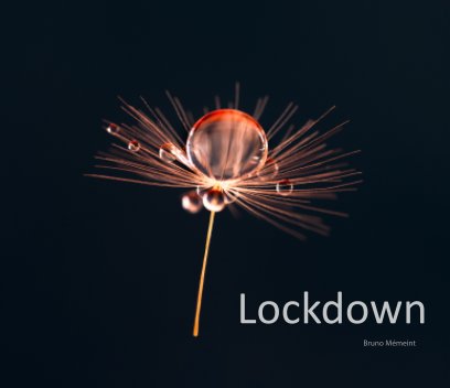 Lockdown book cover