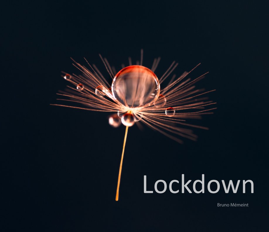 View Lockdown by Bruno Mémeint