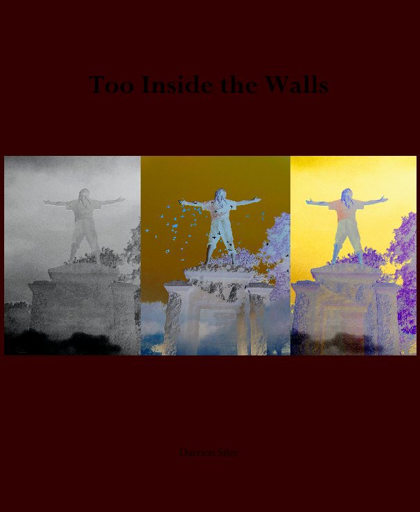 View Too Inside the Walls by Darrion Siler