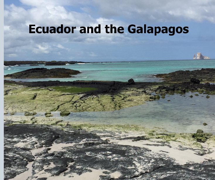 View Ecuador and the Galapagos by Barbara Nolen