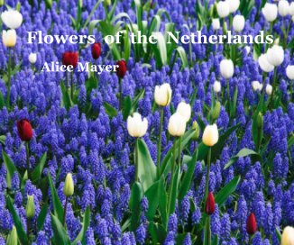 Flowers of the Netherlands book cover
