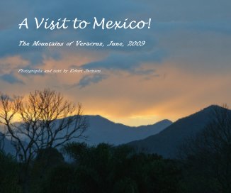 A Visit to Mexico! book cover