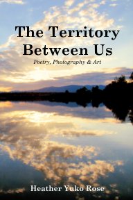 The Territory Between Us book cover