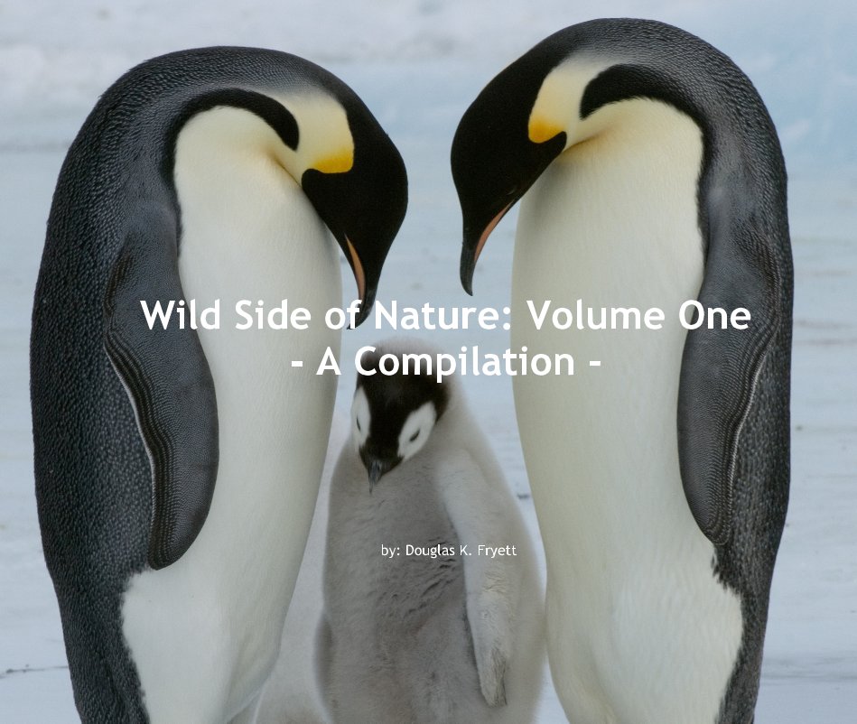 View Wild Side of Nature: Volume One - A Compilation - by by: Douglas K. Fryett