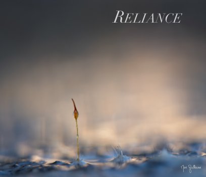 Reliance book cover