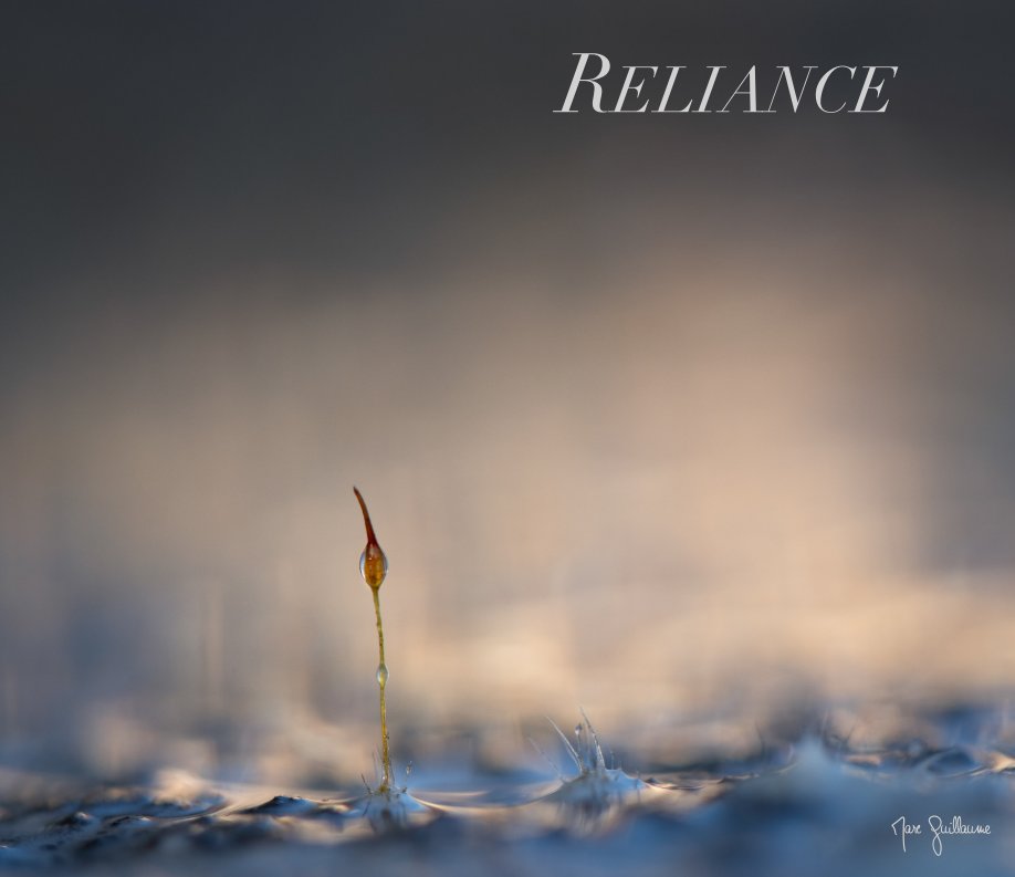 View Reliance by Marc Guillaume