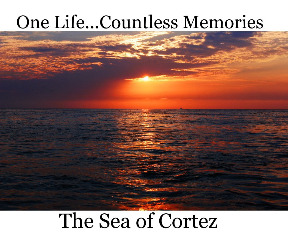 View The Sea of Cortez by Chris Shaffer