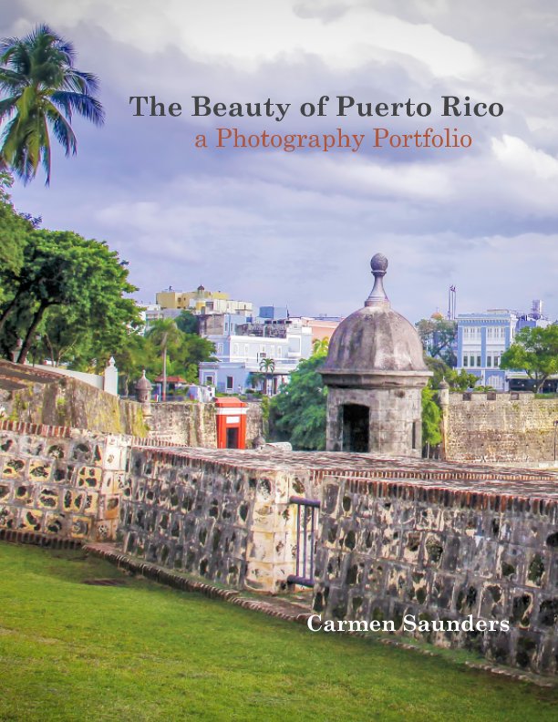 View The Beauty of Puerto Rico by Carmen Saunders