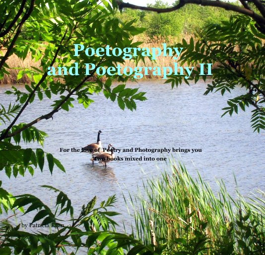 Visualizza Poetography and Poetography II di Patricia Egan