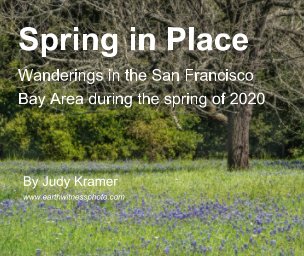 Spring in Place book cover