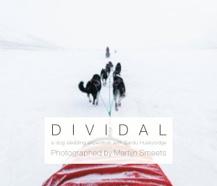 Dividal book cover