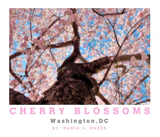 Cherry Blossoms Washington, DC book cover