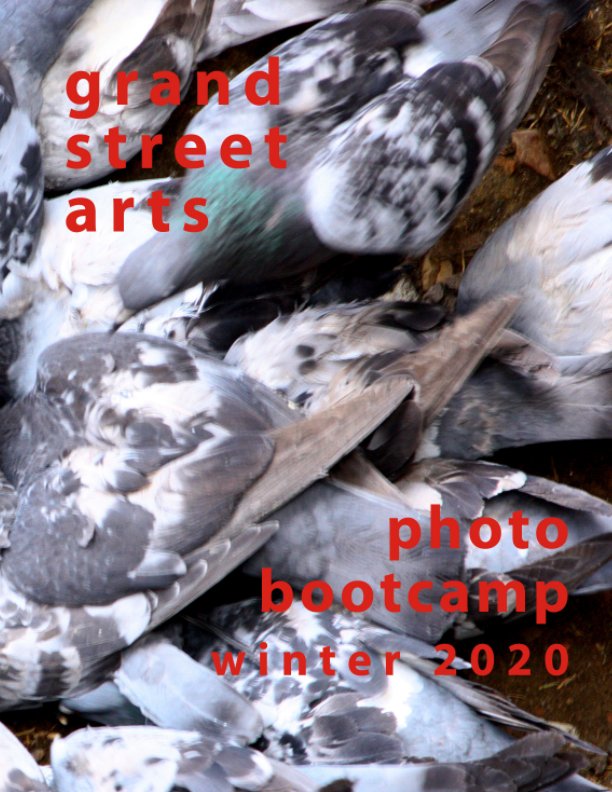 Ver Grand Street Arts Photo Bootcamp por Annie Appel