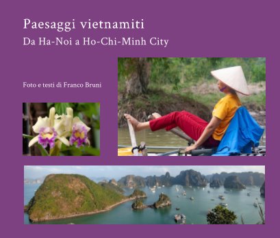 Pesaggi vietnamiti book cover
