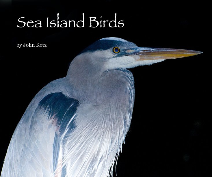 View Sea Island Birds by John Kotz