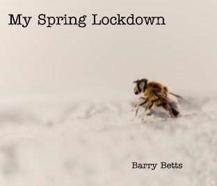 My Spring Lockdown book cover