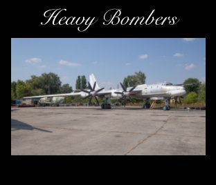 Heavy Bombers book cover
