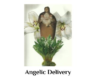 Angelic Delivery book cover