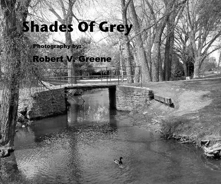 Visualizza Shades Of Grey di Robert V. Greene