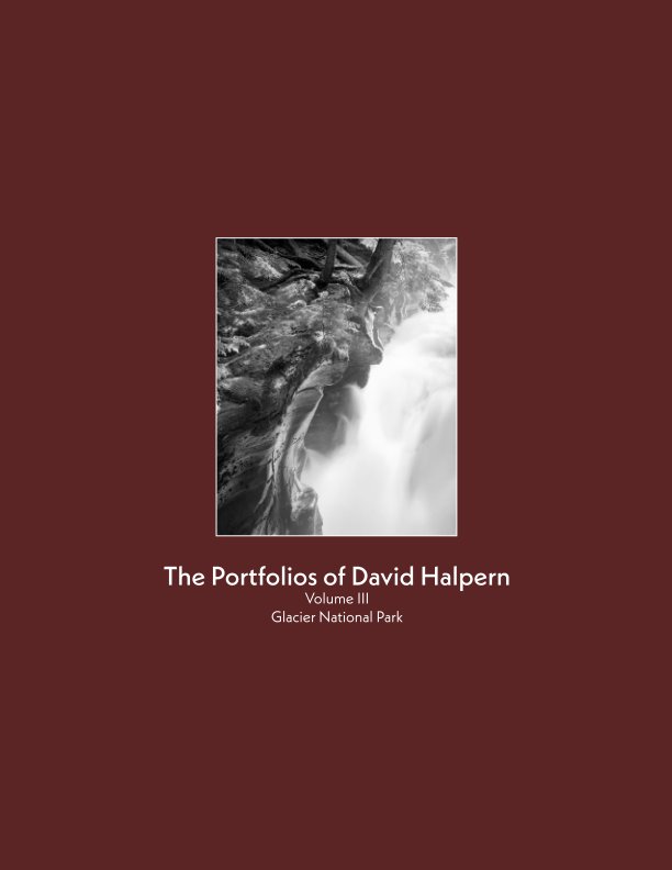 Visualizza The Portfolios of David Halpern, Volume 3 di David Halpern