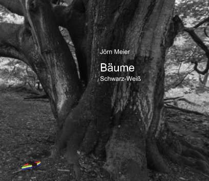 Bäume Schwarz/Weiß book cover
