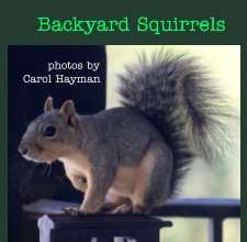 Backyard Squirrels book cover