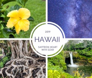 2019 Hawaii Retreat with DZAR book cover