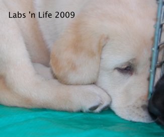 Labs 'n Life 2009 book cover