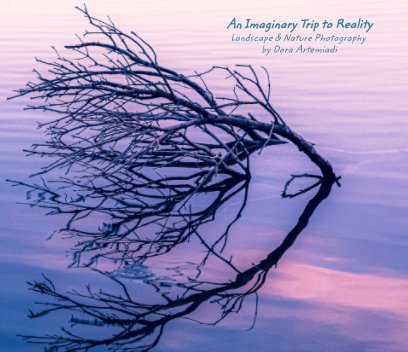 An imaginary trip to reality book cover