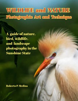 Wildlife and Nature
Photographic Art and Technique book cover