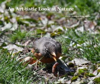 An Art-tistic Look at Nature book cover