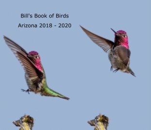 Bill's Book of Birds Volume 1 book cover