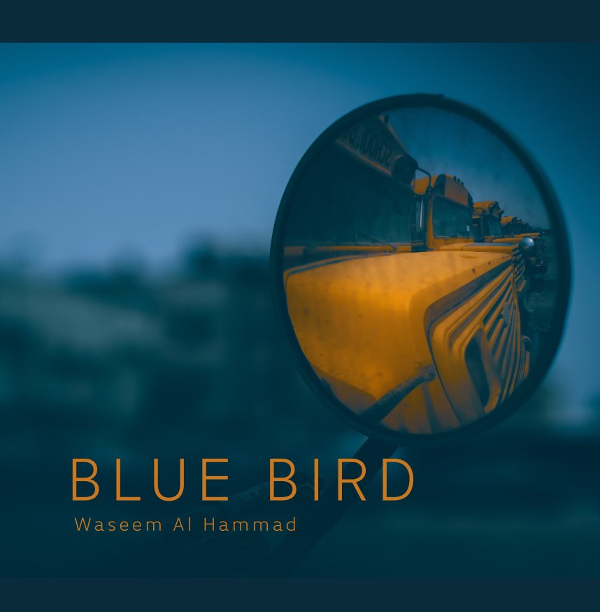 View Blue Bird by Waseem AL-HAMMAD