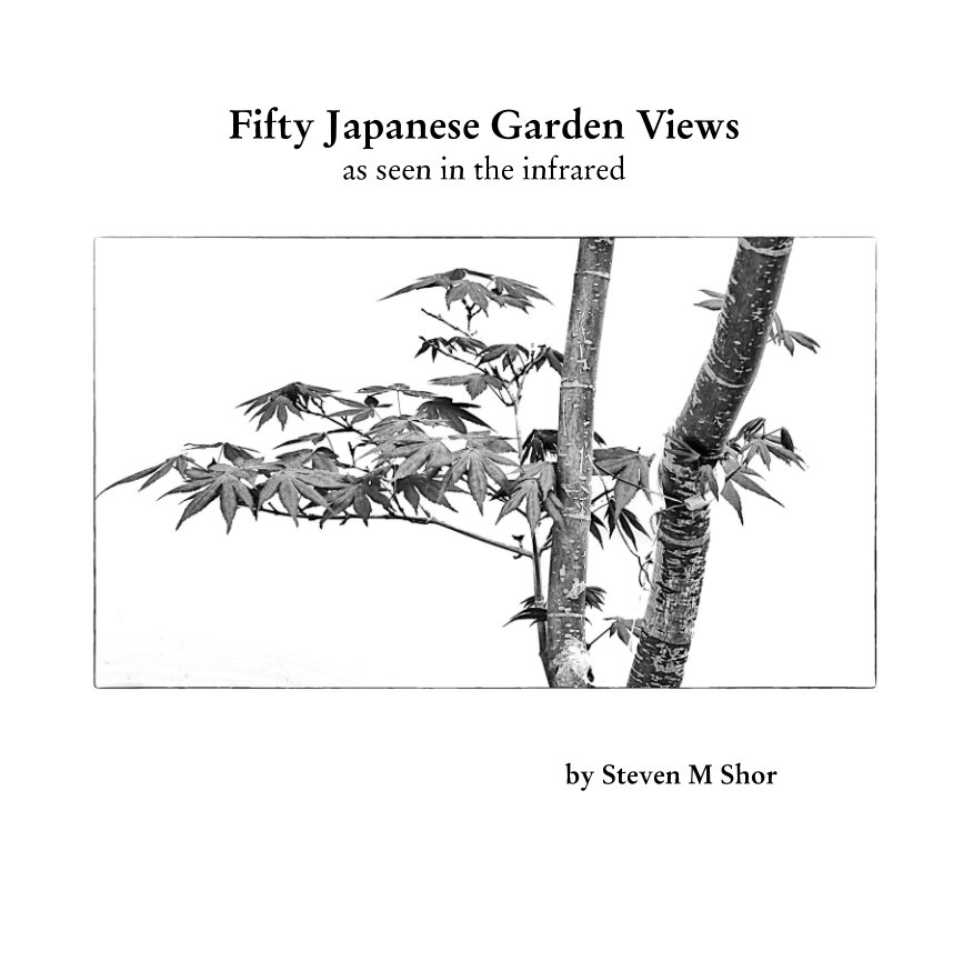 View Fifty Japanese Garden Views
as seen in the infrared by Steven M Shor