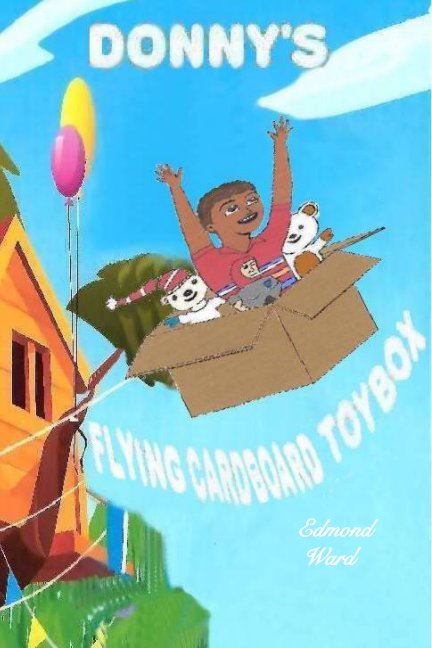 View Donny's Flying Cardboard Toy Box by Edmond Ward III