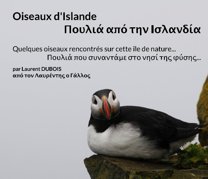 Visualizza Oiseaux d'Islande - Πουλιά από την Ισλανδία di Λαυρέντης ο Γάλλος - L DUBOIS