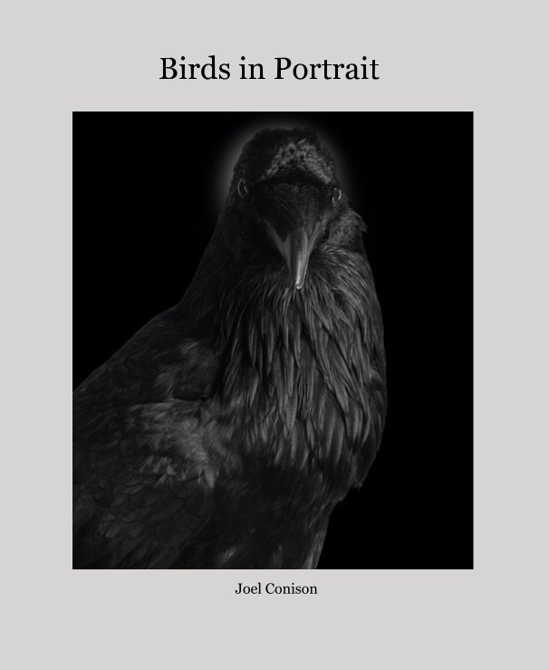 View Birds in Portrait by Joel Conison