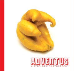 Adventus Deluxe book cover