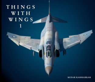 Things with Wings 1 book cover