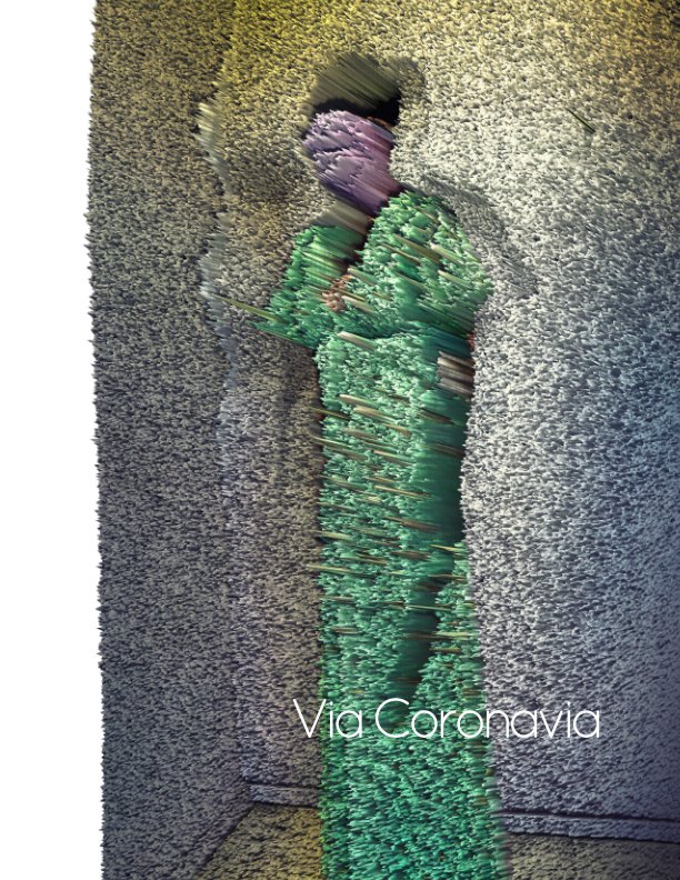 View via coronavia 2020 by Cursisten Lucas Dewaele