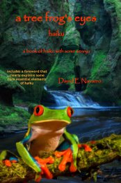 A Tree Frog's Eyes book cover