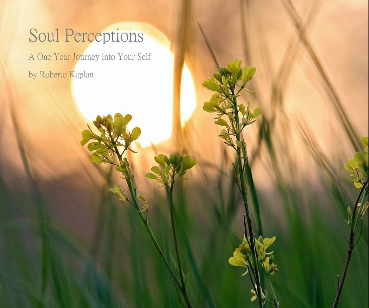 Ver Soul Perceptions por Roberto Kaplan