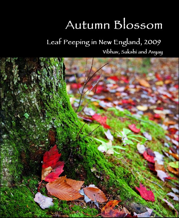 Ver Autumn Blossom por Vibhav, Sakshi and Avyay