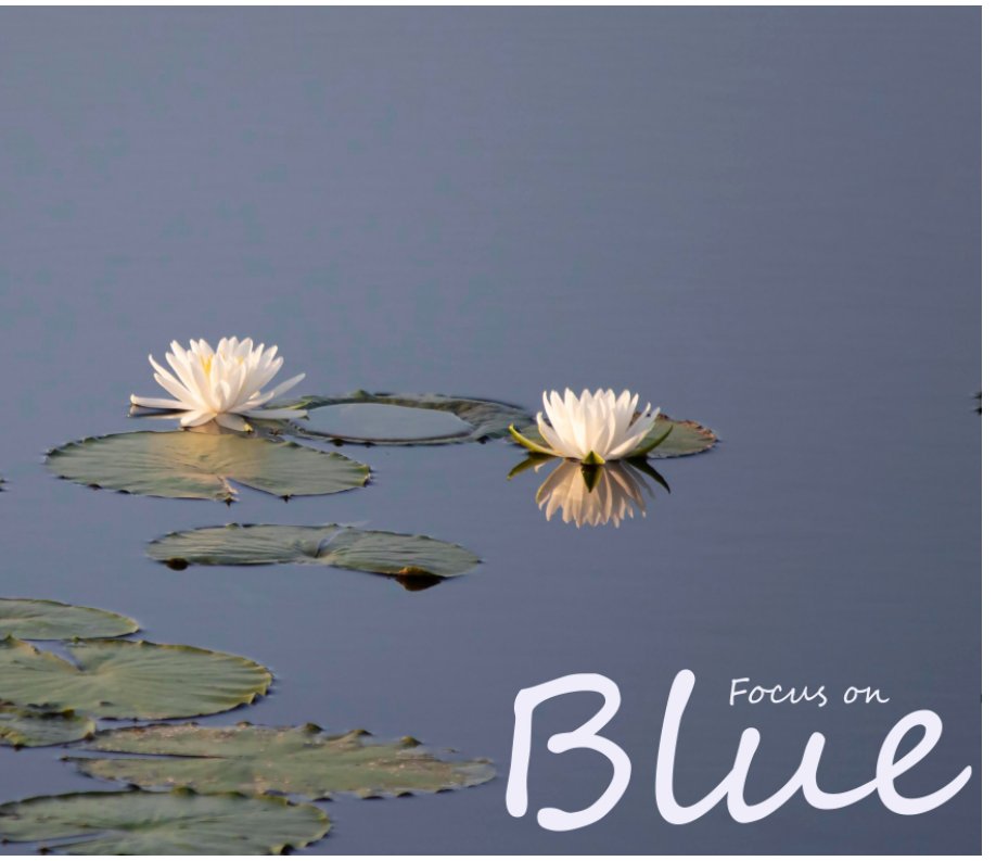 View Focus on Blue by Dana Dowling